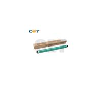 Ricoh Parts&Toner Cyan - RICE101069