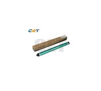 Ricoh Parts&Toner Green - RICE101011