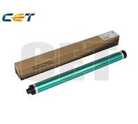 Ricoh Parts&Toner Green - RICE101011