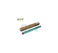 Ricoh Parts&Toner Green - RICE101011