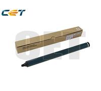 Ricoh Parts&Toner BLACK - RICE101119
