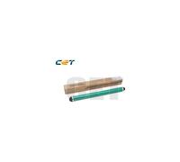 Ricoh Parts&Toner Cyan - RICE101069