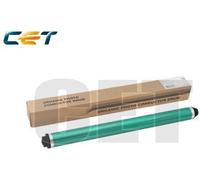 Ricoh Parts&Toner Cyan - RICE101069