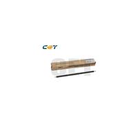 Pantum Parts&Toner BLACK - PTCE251069