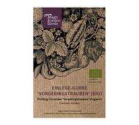 Cetriolo da conserva "Vorgebirgstrauben" (Cucumis sativus) biologico - circa 10 semi