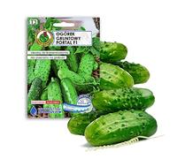 Cetriolo 'PORTAL' F1 semi per ortaggi e mini serra, varietà precoce, nessuna chimica, genetica, aiuto per la crescita artificiale, 100% naturale