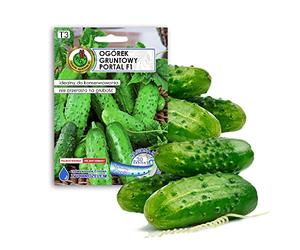 Cetriolo 'PORTAL' F1 semi per ortaggi e mini serra, varietà precoce, nessuna chimica, genetica, aiuto per la crescita artificiale, 100% naturale