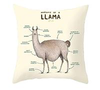 CEVAN Lino Fodere Cuscini Estate Federa Cuscino Rettangolare Divano Colorate Federe Shabby Chic Copricuscino Lino 45x45 cm