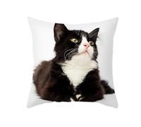 CEVAN Poliestere Copricuscini Maxi Federe Cuscino Moderne Il Gatto Fodere Cuscini Esterno Impermeabile Rettangolare Federe Cuscino Microfibra Nero Decorazioni Murali 40x40cm,1Pcs