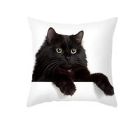 CEVAN Poliestere Federe Cuscini Rettangolari per Divano Federe Cuscino Letto Il Gatto Copricuscini Elasticizzati Fodera per Cuscino da Giardino Nero 40x40cm,1Pcs