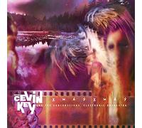 Cevin Key - Resonance - Blue double vinyl (2 LP)