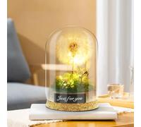 CEWROM Penna stilografica con luce a LED, vera leone in vetro, regalo per la festa della mamma per la mamma, regalo eterno, regalo per donne, fidanzata, leone, decorazione per compleanno, matrimonio