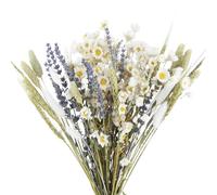 CEWUDA Mazzi Fiori Secchi Decorativi Naturali per Vaso Miste Bouquet Lavanda Essiccata Gerbere Coda di Coniglio Pampas Erba di Grano per Bomboniere Matrimonio Decorazione Casa Fai Da Te Partito