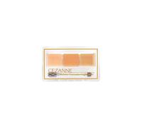 CEZANNE - Palette Concealer High Cover - 4.5g - 10 Basic Tones