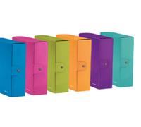 CF. 5 SCATOLE PROGETTO WOW LEITZ 6 COLORI FORMATO 25X35CM DORSO 8 CM