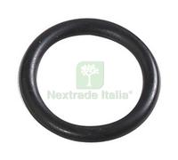 CF GUARNIZIONE O RING RETTIFICATA R13 MM. 16,9X2,7 PZ. 100:
