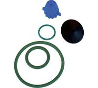 CF KIT RICAMBI POMPA EROS VITON DAL DEGAN