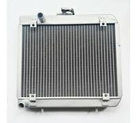 CF Radiatore Assy Compatibile con CFORCE 625 ATV 2020-2024 Modelli CF600AU Touring Quad adatta ai numeri di parte 9DSV-181000-6K00 9DS-181100-6001(Radiator Only)