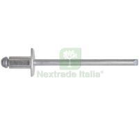 CF RIVETTO A STRAPPO IN ALLUMINIO 100PZ. MM. 3,4X11:
