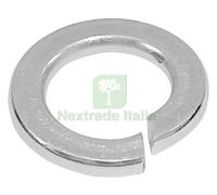 CF RONDELLA SPACCATA GROWER M8 1000 PZ.: