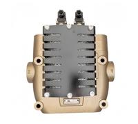 CF6DA66B1 Elettrovalvola a doppia sicurezza, valvola di controllo | Pneumatica, CF6DA66B1 CF6DA66C1 for macchine da punzonatura for carichi pesanti(CF6DA66B1)