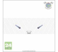 Cf8 Coppia Ammortizzatori xx Post Per Dacia Sandero Benzina/Gasauto (Gpl) 20