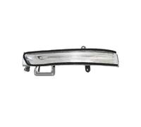 CFCKHPTHAZ Per Hyundai Per Tucson 2015 2016 2017 2018 2019 2020 Indicatore Di Direzione Dello Specchietto Laterale Anteriore (lato destro)