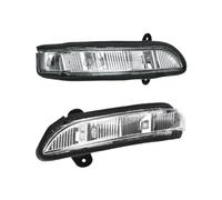 CFCKHPTHAZ Per Mercedes Per Benz W211 W221 W219 2006 2007 2008 2009 E320 E350 Indicatore Luminoso Ripetitore Specchietto Retrovisore