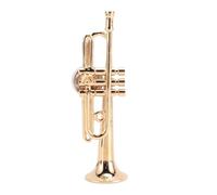 CFTGIW Magnete Replica IN MINIATURA con Tromba d'oro, Magnete da Frigorifero Riutilizzabile IN Metallo, Strumento Musicale REALISTICO, Sia il Che il Sono Fantastici e Assomigliano Alla MINIATURA