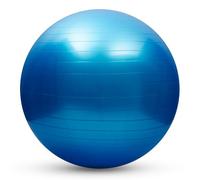 CFTGIW Palla da Yoga Anti-scoppio 55 Cm/65 Cm/75 Palla per Equilibrio di stabilità Pilates Barre per Esercizi di Fitness Fisico con Pompa Ad Aria, Utilizzabile Gratuitamente, Metalli BPA su PVC (55)