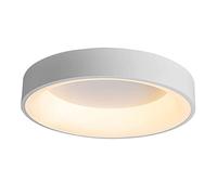 CFWSHJ lampadario, Lampada fiuto Filo a LED Dimmabile Il corridoio della Cucina Portico per Camera da Letto Decorazioni del soffitto (, 30 cm/11,8 Pollici)