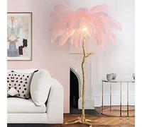CFWSHJ pavonazione Struzzo Naturale, Moderna Lampada Pavimento a LED in Resina Lusso con, dimmerabile e Perfetta per la Lettura Tua Camera da Letto Principessa o nella di casa