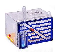 CG1233 Casetta per formiche in acrilico fai da te a 5 strati con area di alimentazione torri trasparente ecologico per l'osservazione tunnel di lavoro dal vivo perfetto regalo di compleanno amatoriale