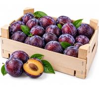 CG94 Prugne Fresche Selezionate Dolci e Succose 2 kg | Dolci e Succose, Ideali da Tavola, Per Dolci e Confetture, Confezione Famiglia, Frutta Fresca