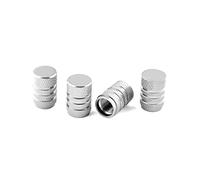 CGEAMDY Coprivalvole Auto in Metallo Tappi Pneumatici Auto, 4 Tappi Stelo Valvola Pneumatico, Set Tappi Valvole Ruote in Alluminio, Tappi Gomme per Valvole Auto in Alluminio, Tappis Valvola (Argento)