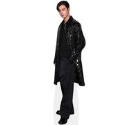 Cha Eun-Woo (Black Outfit) mini formato