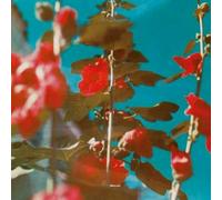 Chad Lawson Breathe (Vinyl LP) 12" Album