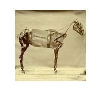 Chadwick Stokes - HORSE COMANCHE, THE - CHADWICK