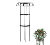 Chaies Espositore per rose, per esterni, per piante rampicanti, a forma di ombrello, in acciaio - Supporto alto per piante, gabbia per piante da giardino autoportante per arrampicata