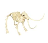 Chaies Kit di scavo di Dinosauri per - Giocattolo di scavo archeologico fossile di dinosauro per adulti,Modello di dinosauro realistico Giocattoli educativi per Compleanno per