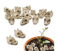 Chaies Pietre Decorative per Vasi - Pietre per Piante,Ventidue Accessori Lucidati A di Teschio di Drago, Elementi Decorativi per Giardino E Paesaggistica, Interni Ed Esterni