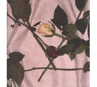 Chain of Flowers Chain of Flowers (Vinyl LP) 12" Album (Clear vinyl)