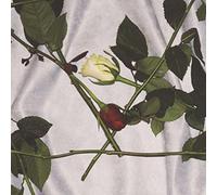 Chain of Flowers Chain of Flowers (Vinyl LP) 12" Album (Clear vinyl)