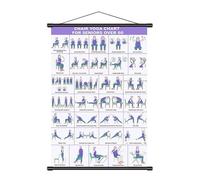 Chair Workout Poster - Foldable Wall Chart For Yoga Pilates And Mobility , Visual Exercise Guide Featuring Multiple Seated Poses | Fitness Stretching Training Tool For Home Gym Office Wellness Space