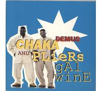 CHAKA DEMUS AND PLIERS Gal Wine 7" 45