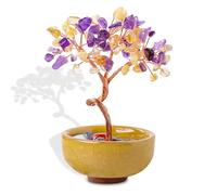 Chakras Pietra Preziosa Albero Della Vita,Energia Positiva Crystal Tree Regalo Compleanno Spirituali,Albero Feng Shui di Ametista，Home Office Decorazione Chakra Oggetti