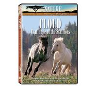 Challenge of the Stallions - Nature-Cloud [Ginger Kathrens]
