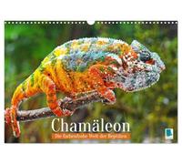 Chamäleon: Die farbenfrohe Welt der Reptilien (Wandkalender 2026 DIN A3 quer), CALVENDO Monatskalender: Chamäleon: In Konkurrenz mit einem Regenbogen