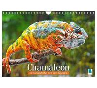 Chamäleon: Die farbenfrohe Welt der Reptilien (Wandkalender 2026 DIN A4 quer), CALVENDO Monatskalender: Chamäleon: In Konkurrenz mit einem Regenbogen