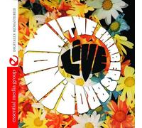 Chambers Brothers Now (CD)